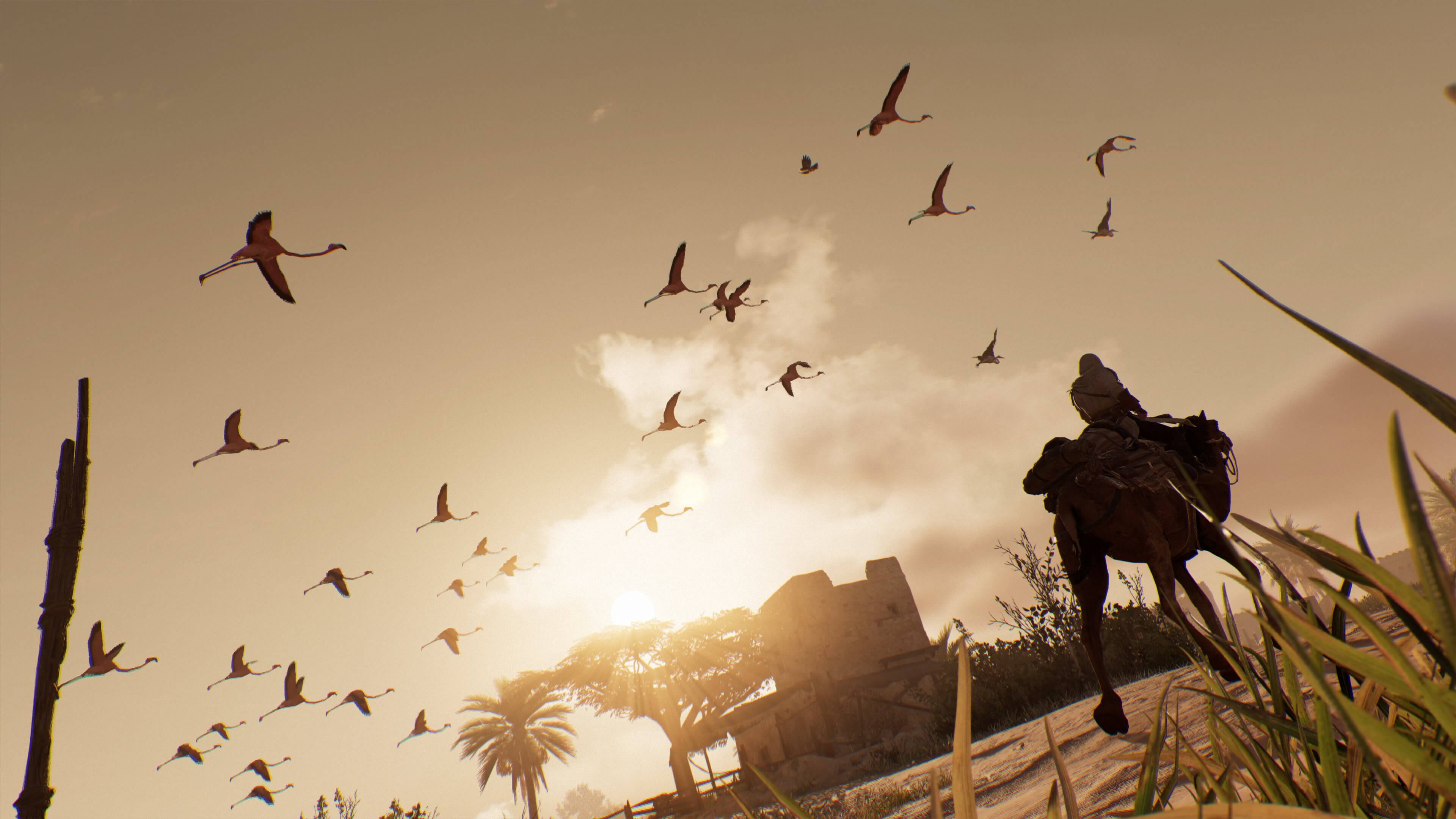 assassins creed mirage plot