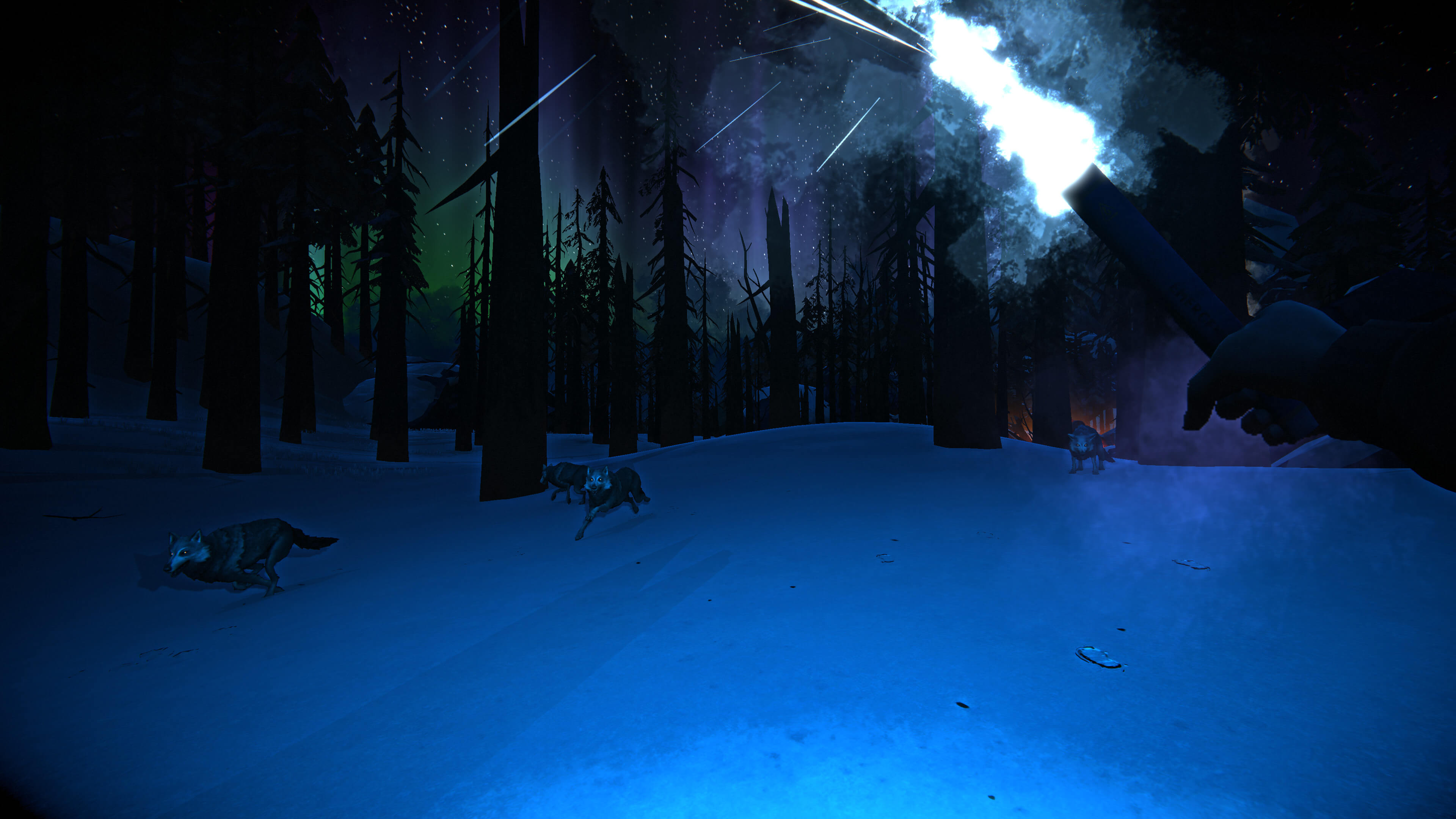 the long dark review